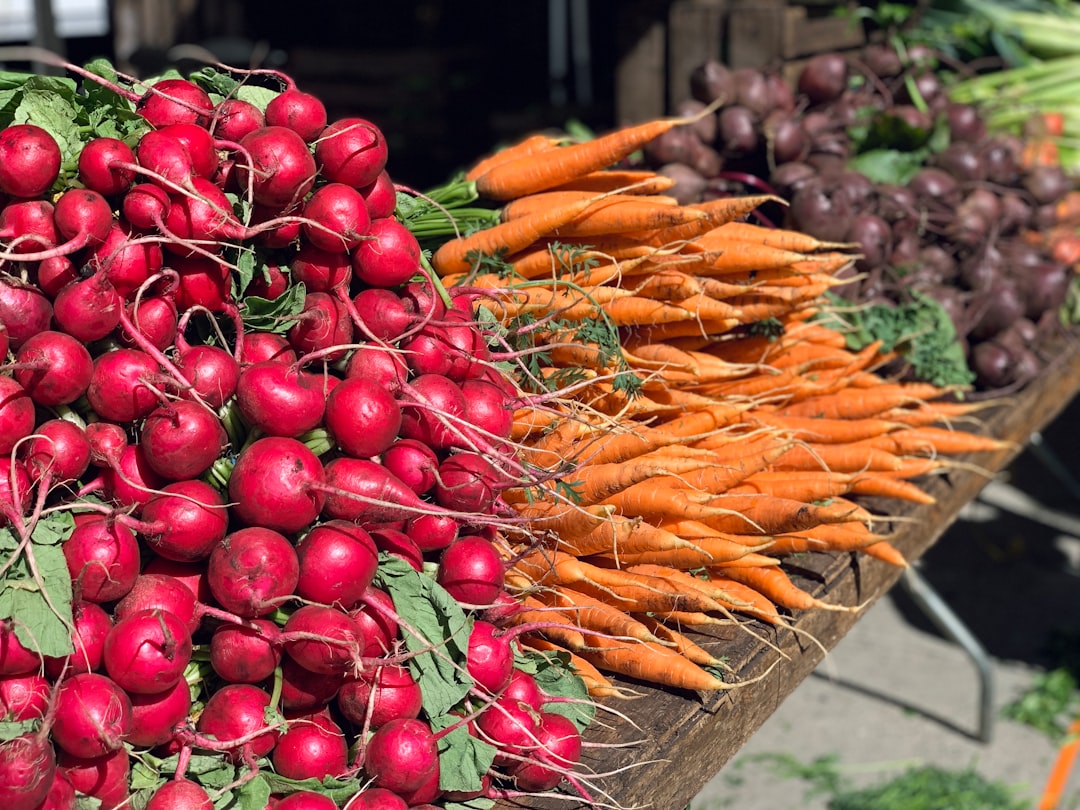 Radish