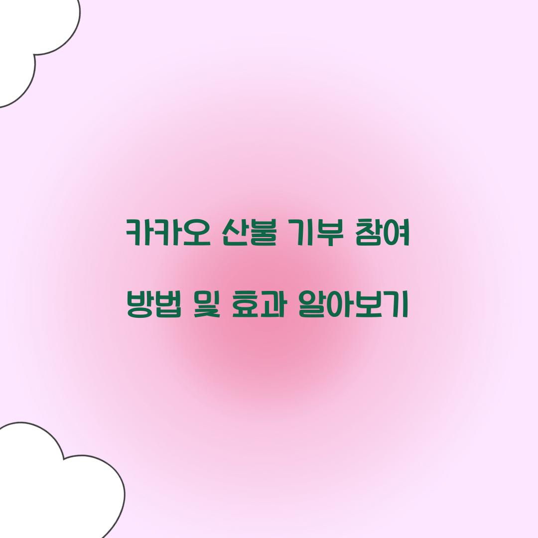 카카오 산불 기부