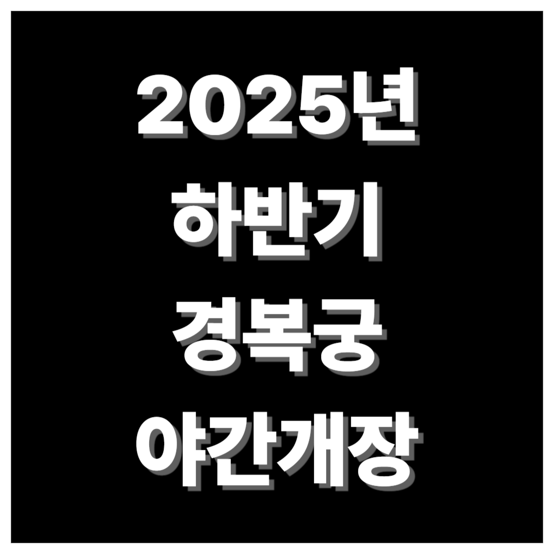 경복궁 야간개장