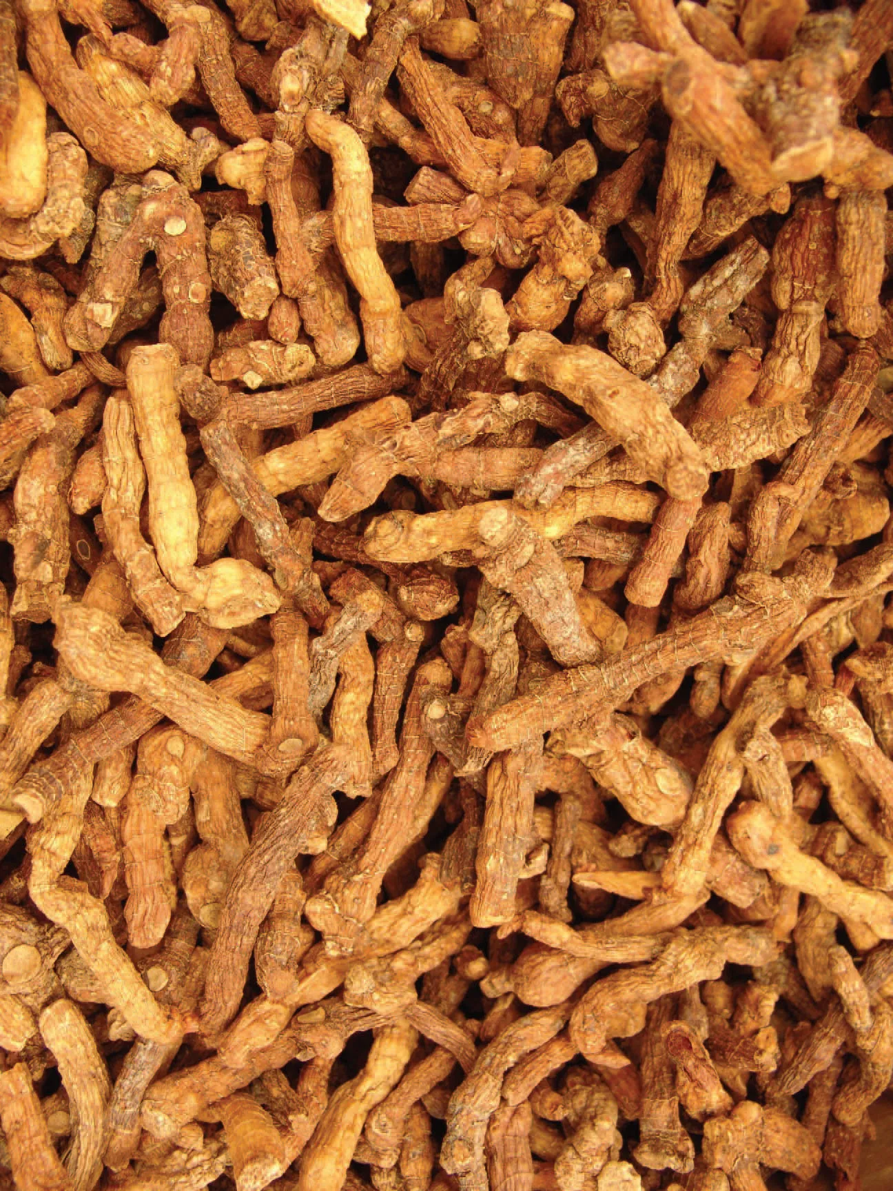 둥글레차 효과 건강에 좋은 차 효능 정리_6