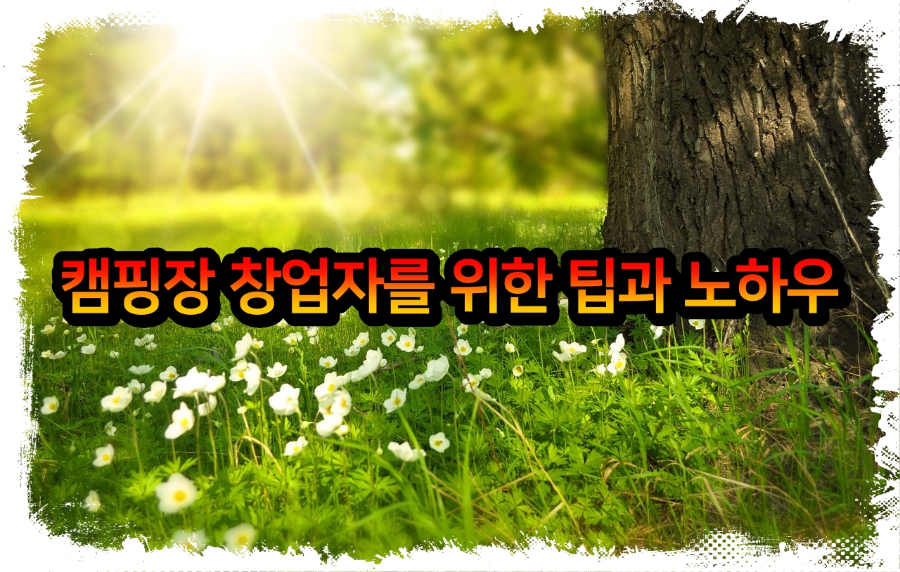 캠핑장 창업자를 위한 팁과 노하우