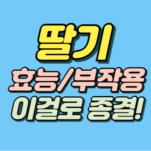 딸기 효능 부작용