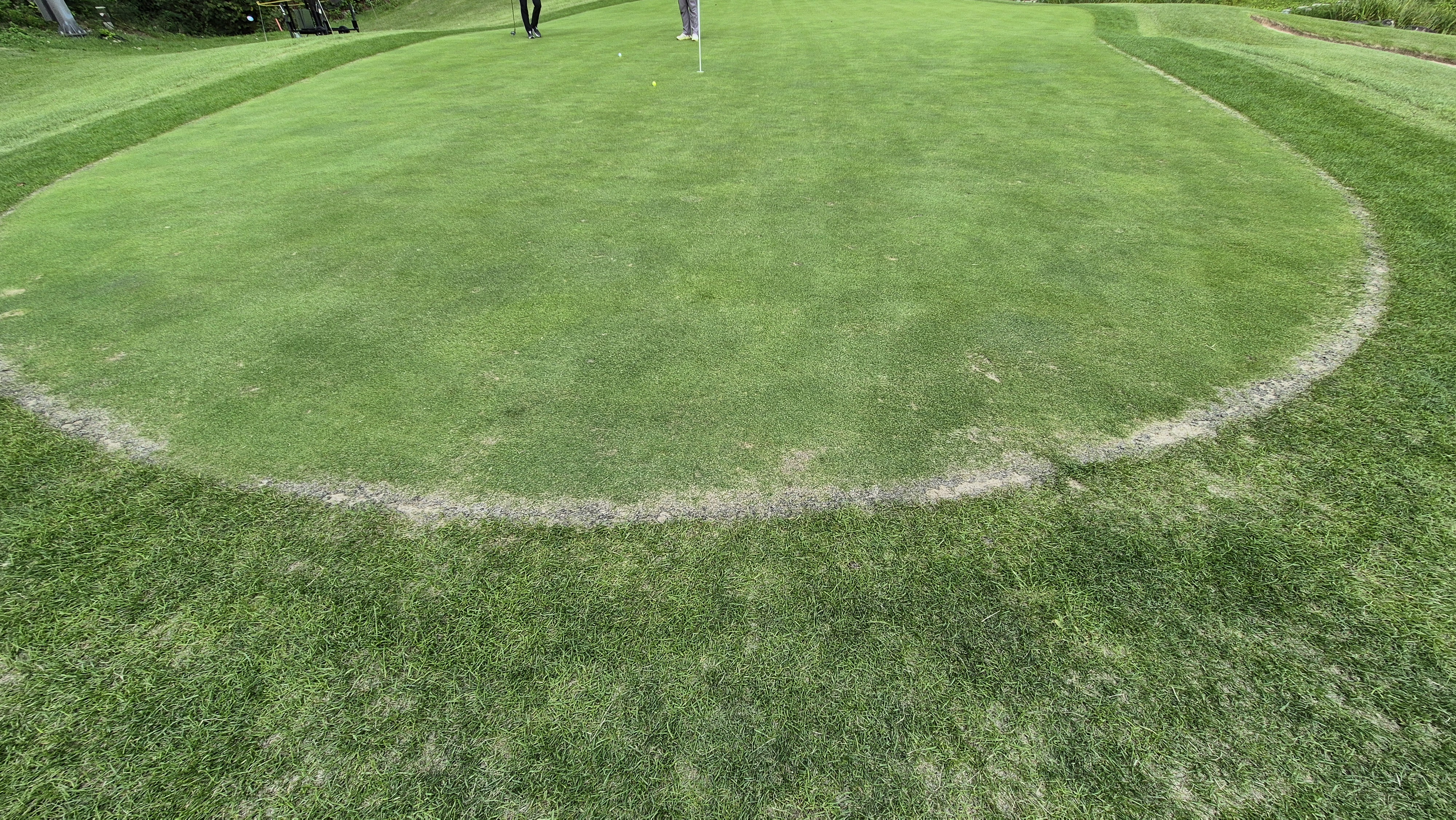 오크힐스cc 그린 관리 상태