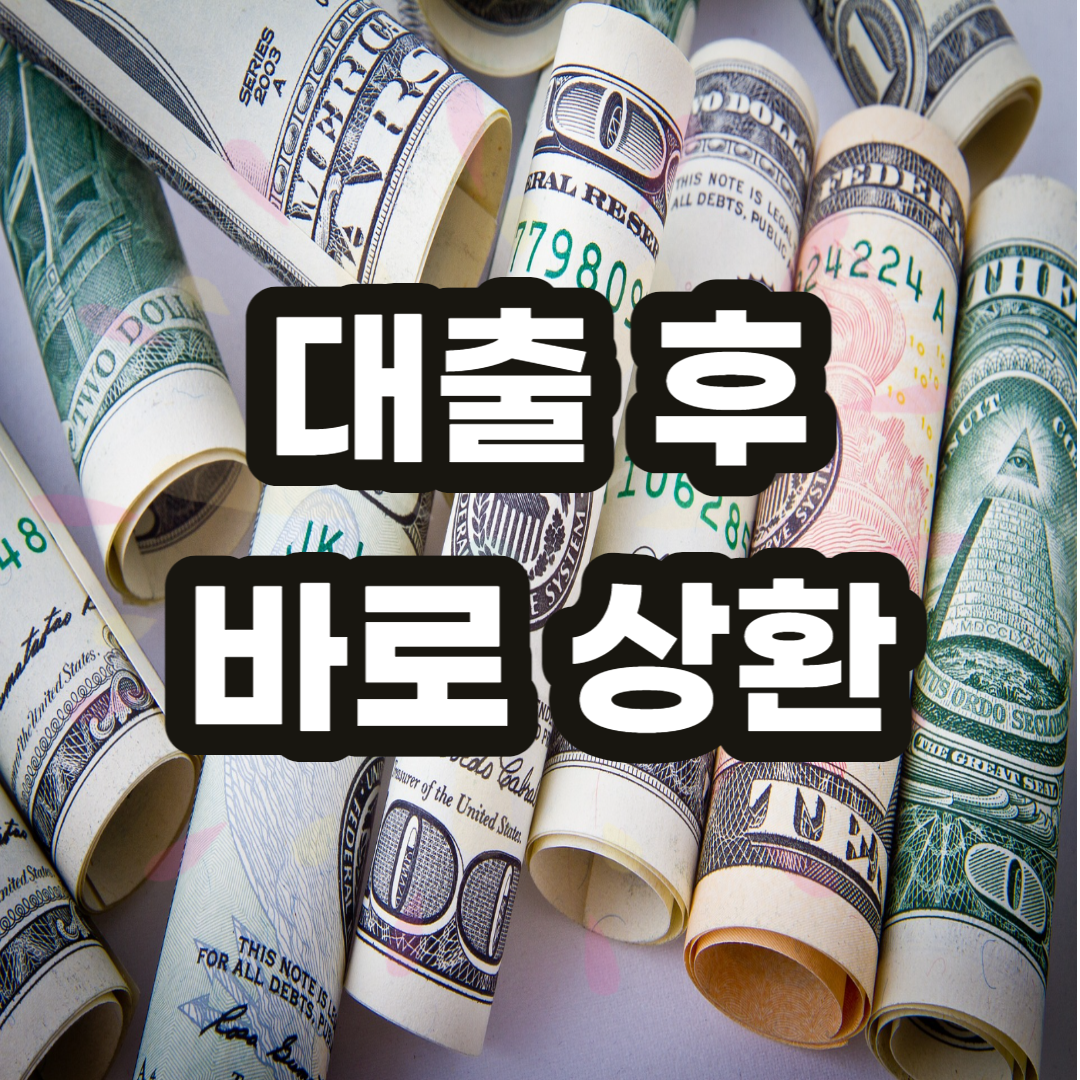 대출 후 바로 상환
