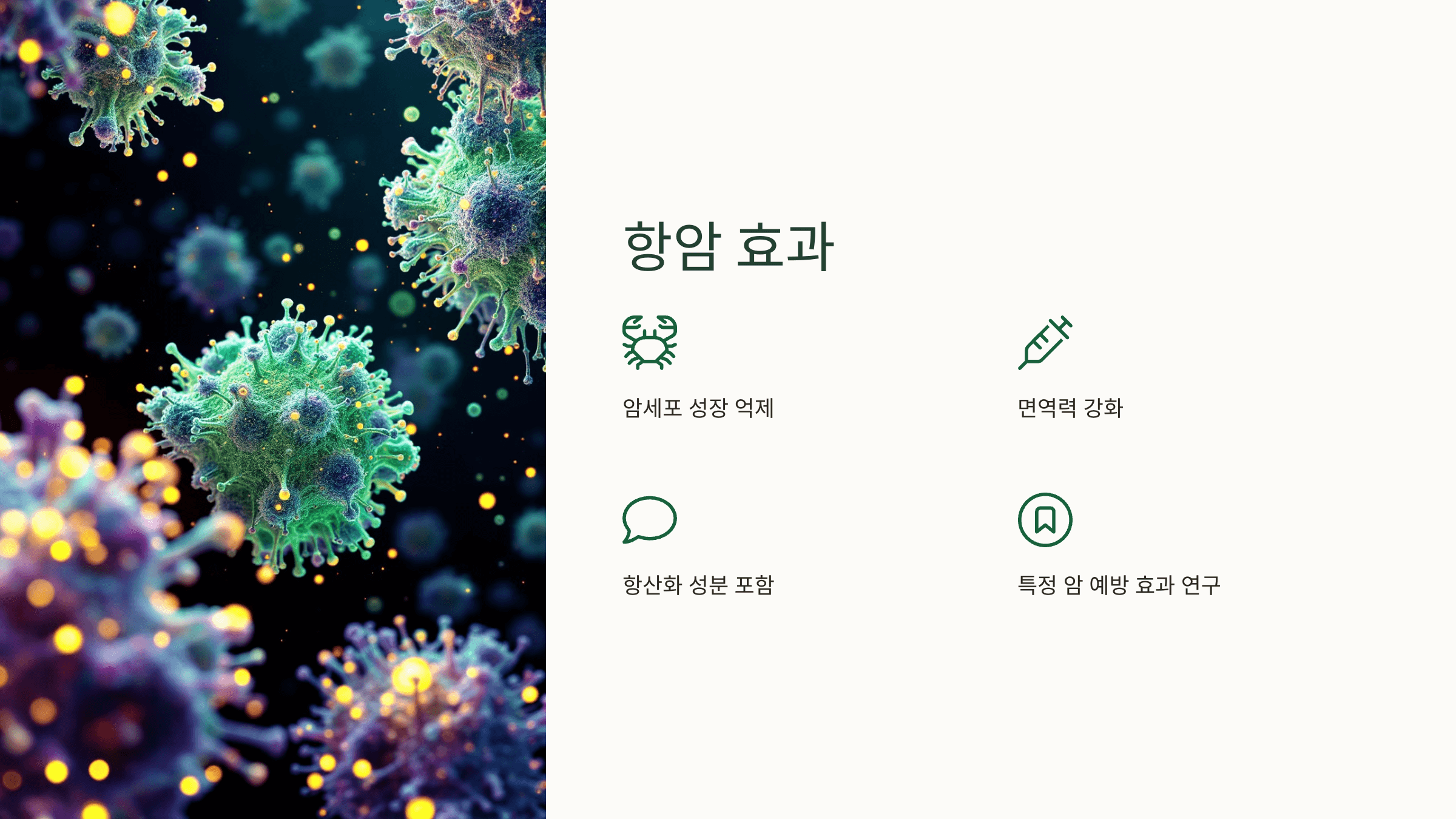 겨우살이 사진입니다.