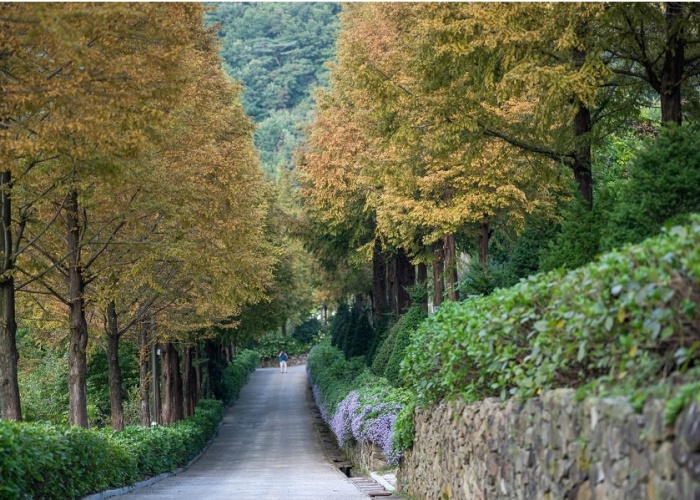 고성그레이스정원-가을풍경