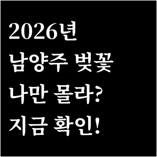 2026년 남양주 벚꽃 개화 시기 및..