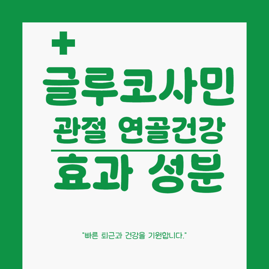 무릎 통증 완화, 글루코사민 효능 완벽 분석! 추천 영양제 및 섭취법 총정리