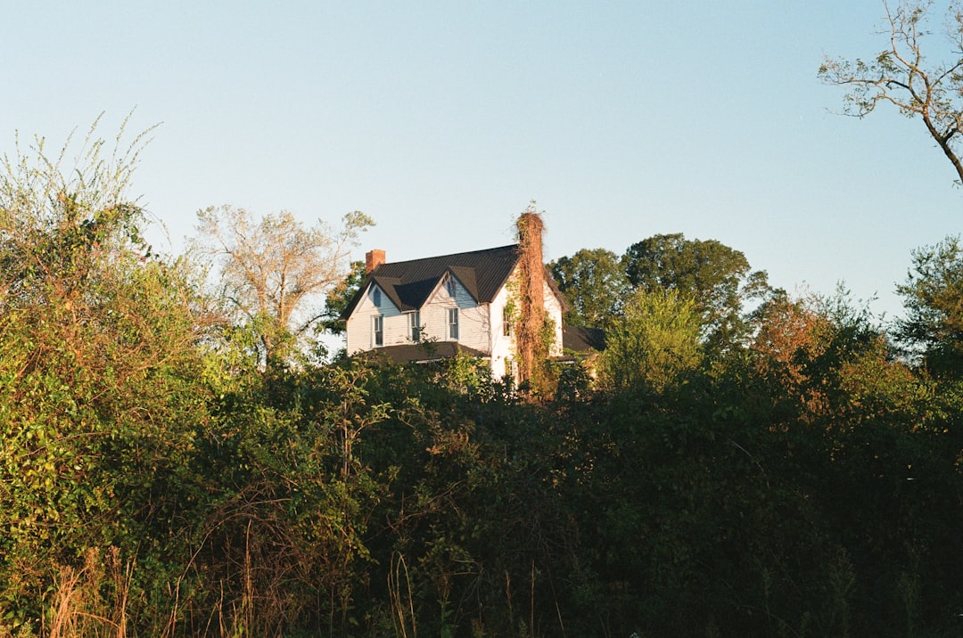 'Location'