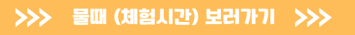 인천 영종도 마시안 갯벌체험 준비물, 물때표(체험시간)
