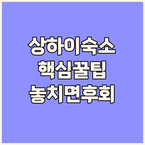 상하이 호텔 vs 홈스테이 난징시루 ..