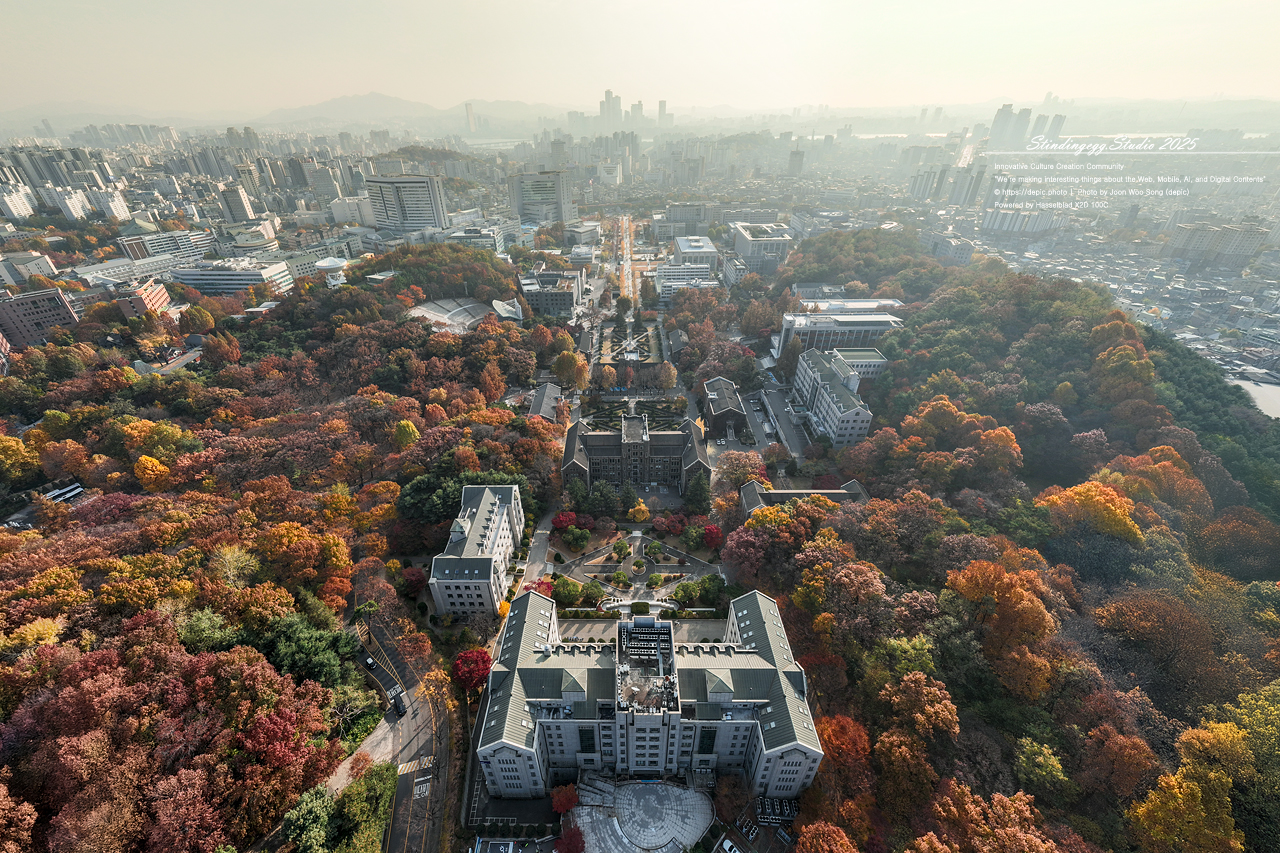 #서울 #신촌 #연세대 #연세대학교 #모교 #단풍 #가을