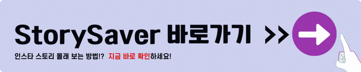 StorySaver 바로가기