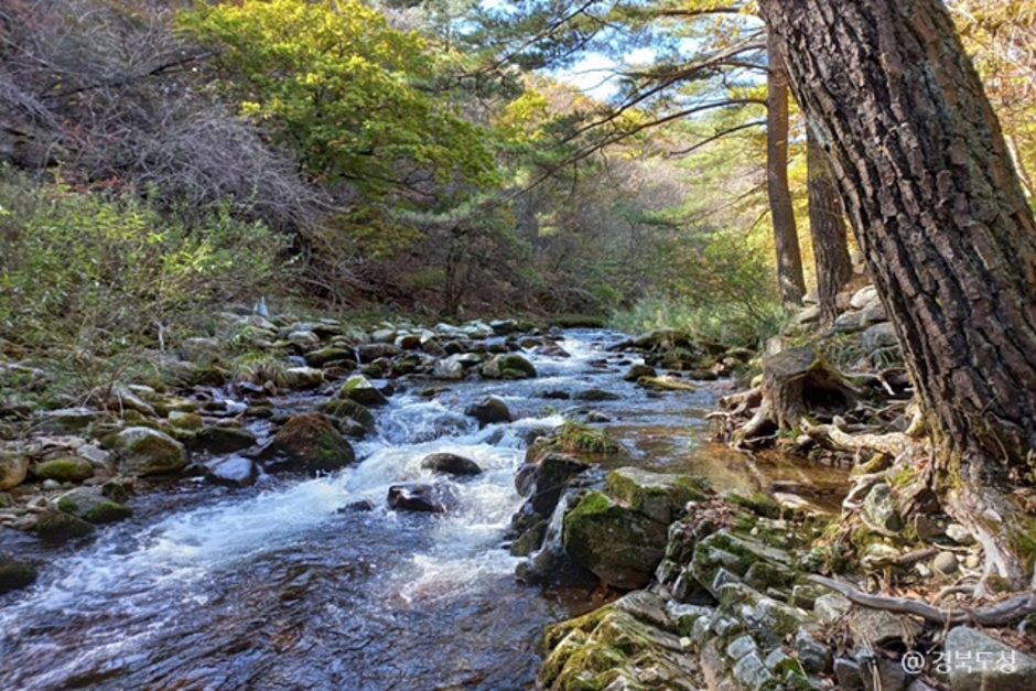 봉화 가볼만한곳 베스트10