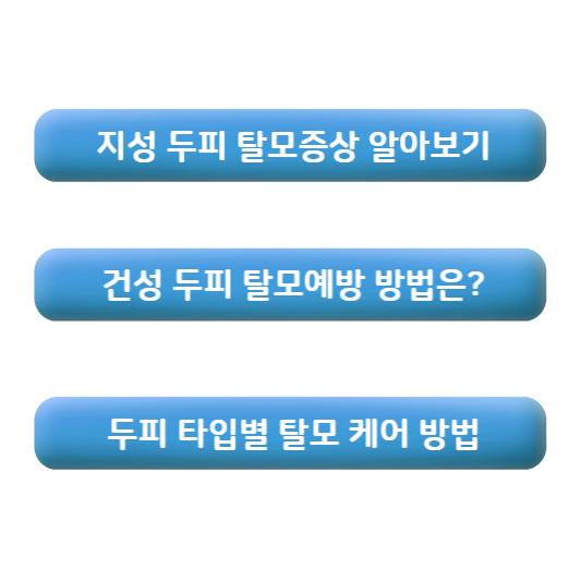 탈모 샴푸 효과