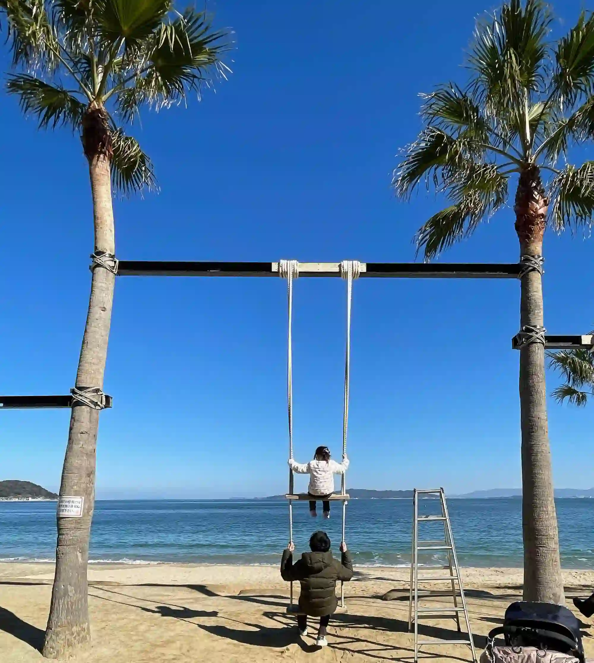 야자수 그네