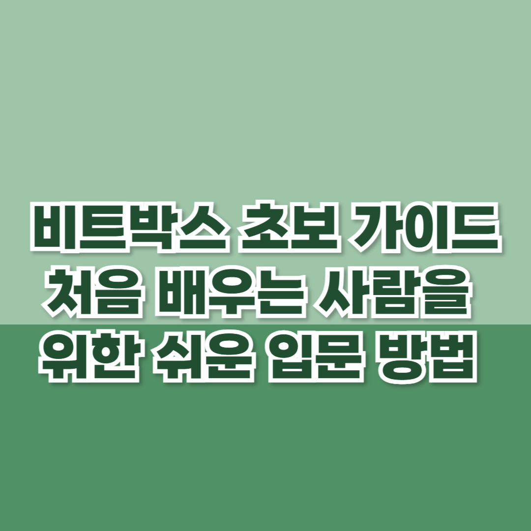 비트박스 초보 가이드 처음 배우는 사람을 위한 쉬운 입문 방법