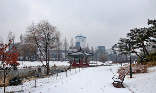대전 겨울 여행 명소, 장태산자연휴양림·한밭수목원·보문산행복숲길·유림공원