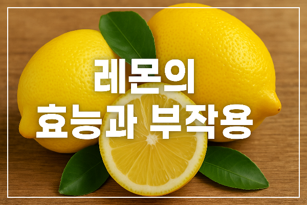레몬의 효능과 부작용