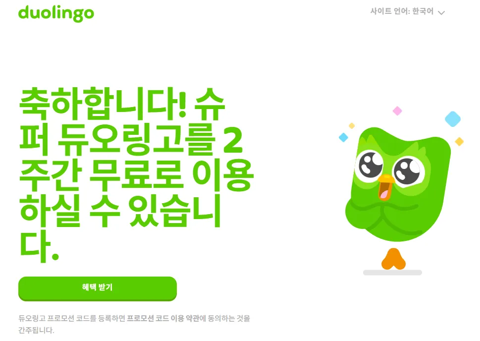 무료 영어 언어 학습 듀오링고 리딤코드 2주