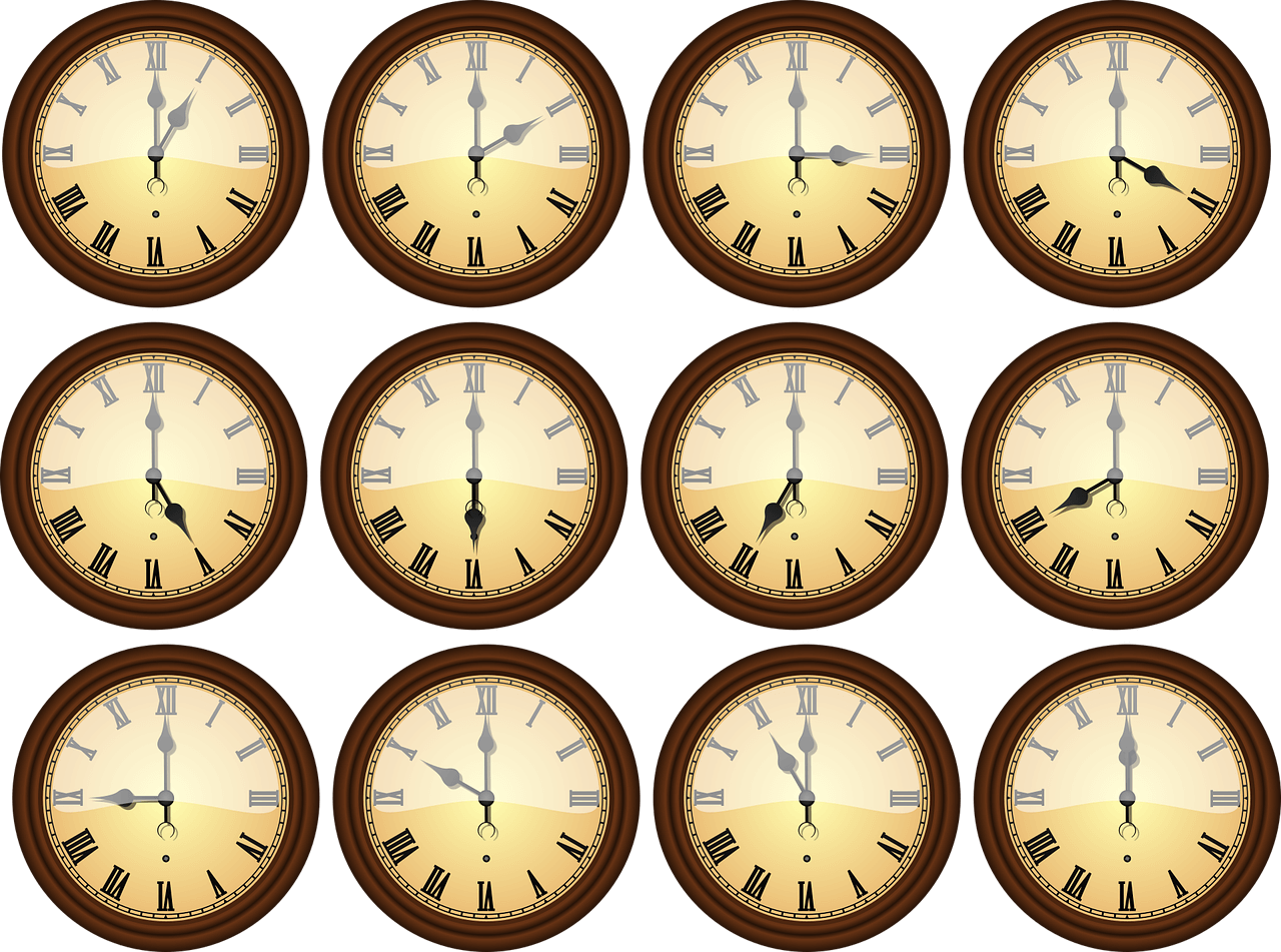 동사무소 빠른 시간대 추천