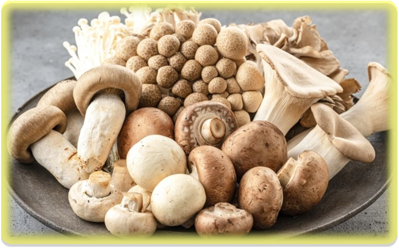 염증에 좋은 음식 버섯류