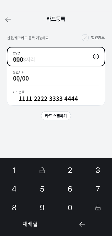 카카오페이 카드등록4