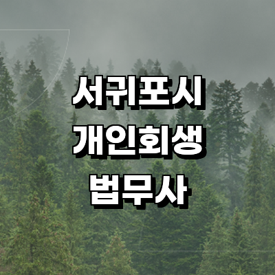 제주 서귀포시 개인회생 법무사