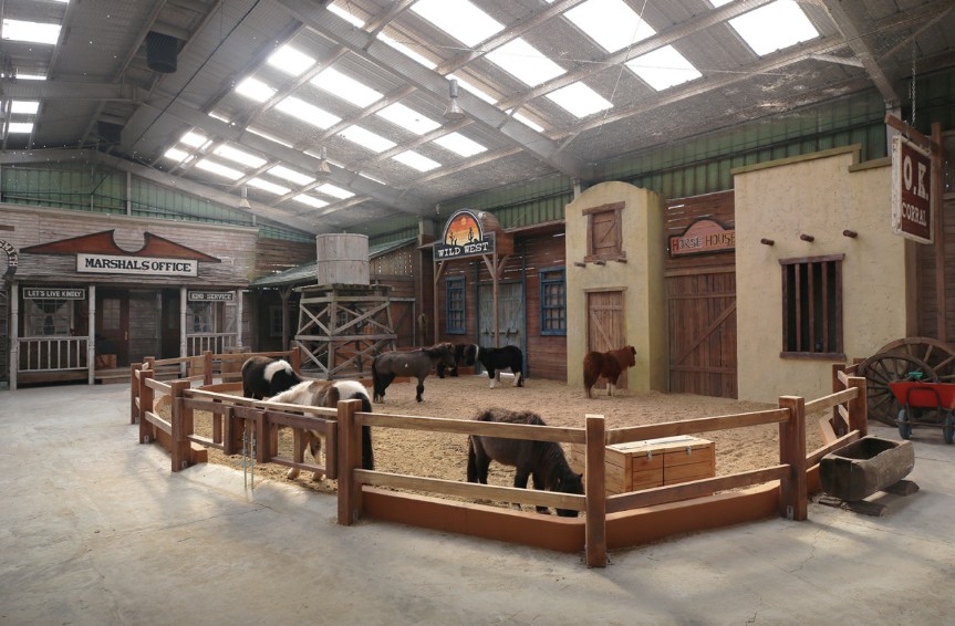 매일아침 실내동물놀이터 썸네일