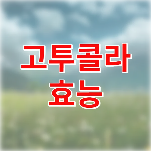 고투콜라 효능