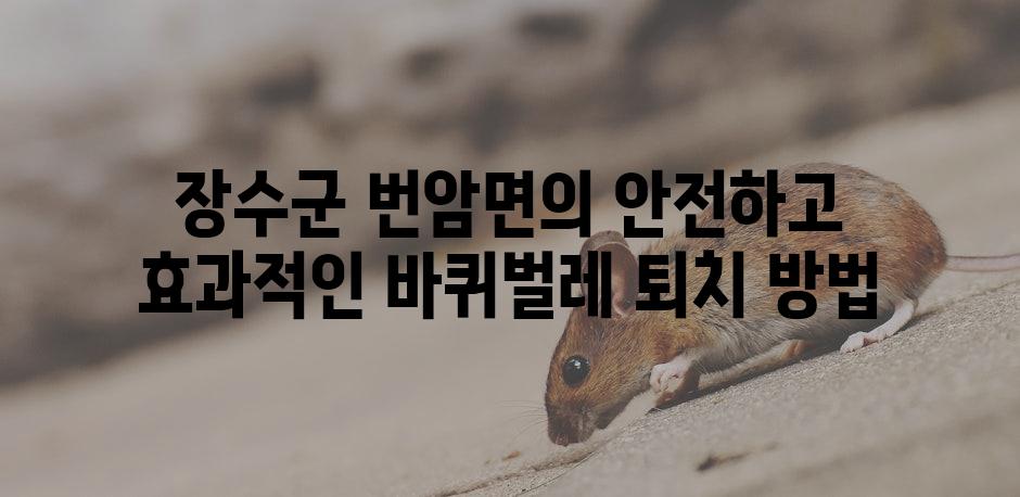 장수군 번암면의 안전하고 효과적인 바퀴벌레 퇴치 방법