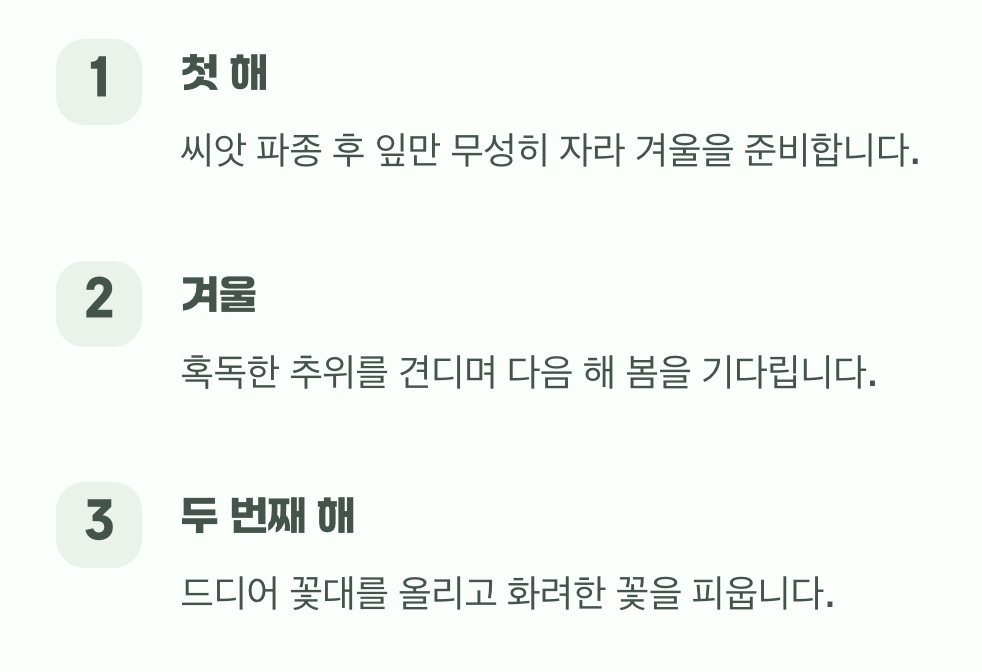 2년의 기다림, 씨앗과의 첫 만남
