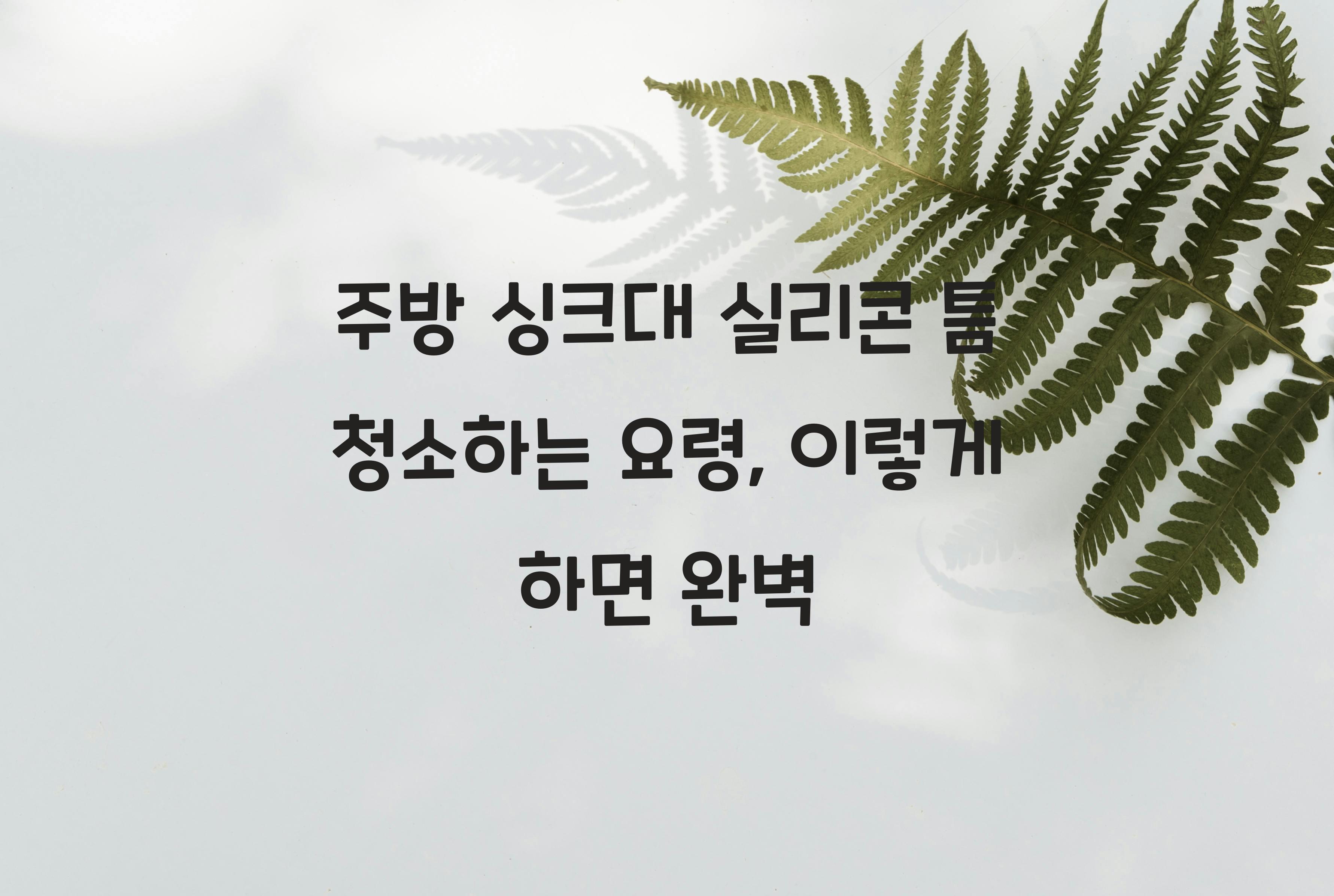 주방 싱크대 실리콘 틈 청소하는 요령