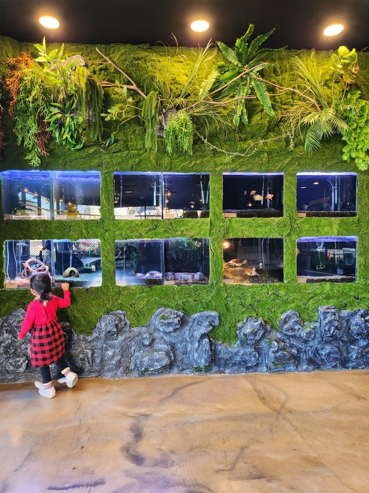 어항을 보는 아이