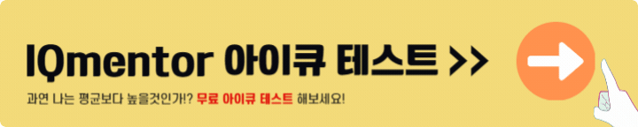 iqmentor 아이큐 테스트