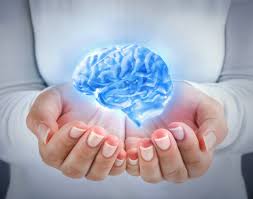 뇌 건강 영양제 기억력 이상 신호 늦기 전에 알아야할 것