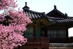 창덕궁