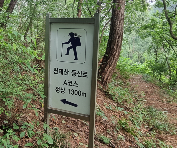 천태산 암벽 구간