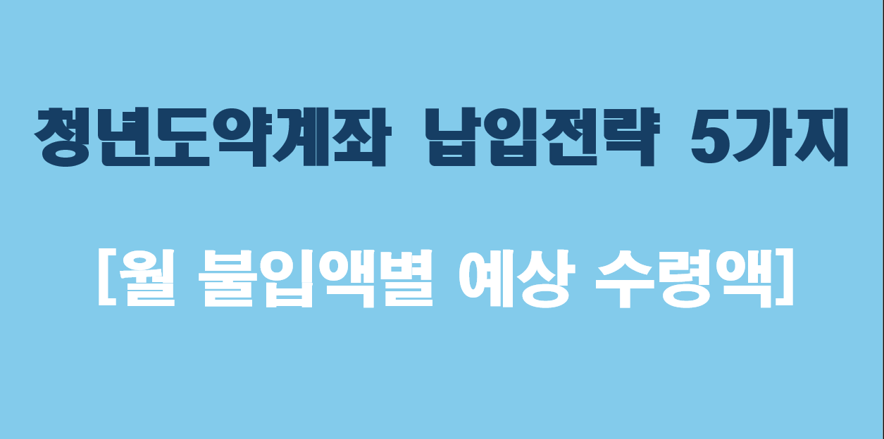 "청년도약계좌 납입전략 5가지"에 대한 이미지입니다.