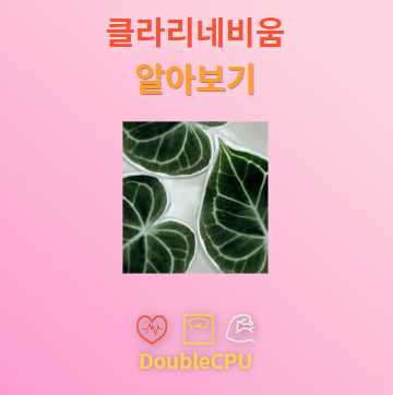 클라리네비움 탐구