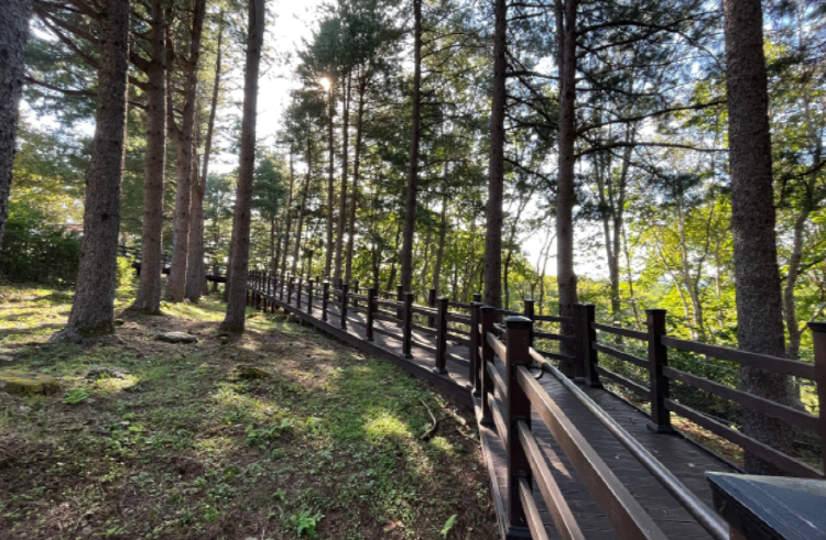 양구 수목원