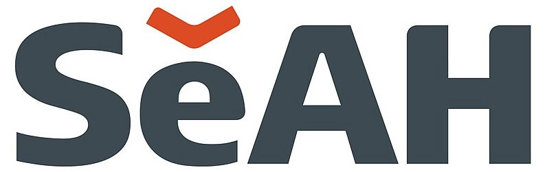 세아홀딩스 로고