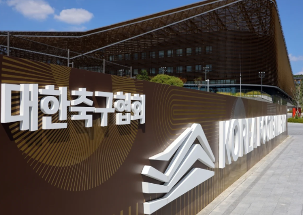 대한축구협회장 보궐선거 TF가동