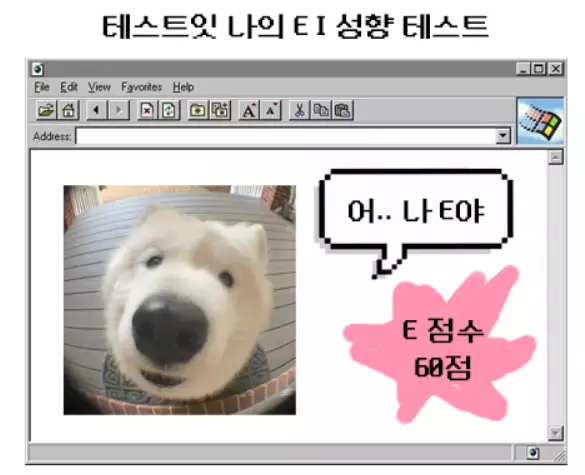 성향테스트의 결과 사진이다.