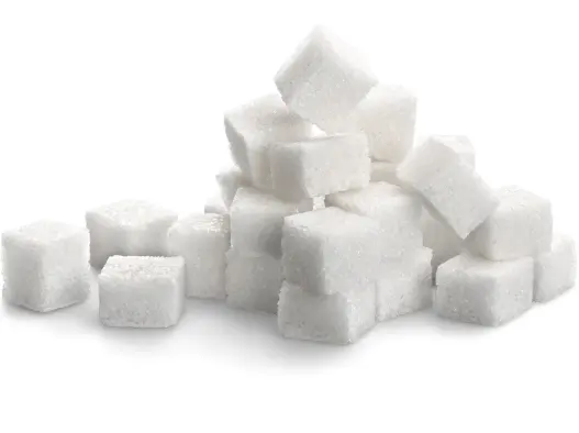 폐암 초기증상, 폐암에 좋은 음식 피해야 할 나쁜 음식