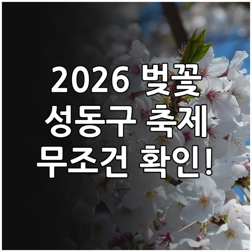 2026 성동구 벚꽃 개화 시기 및 ..