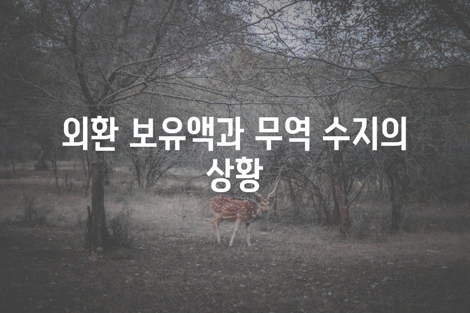외환 보유액과 무역 수지의 상황