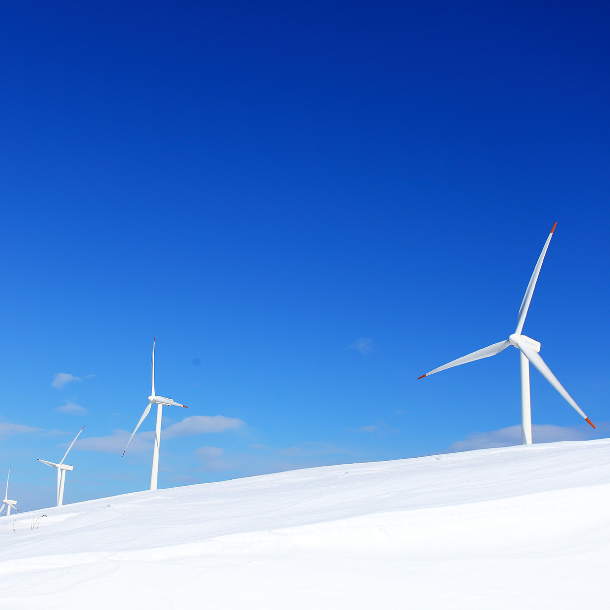 국내겨울여행지 삼양목장 풍차