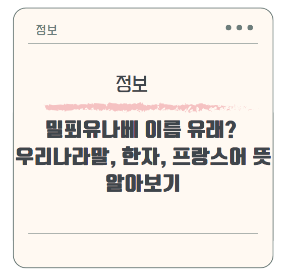 밀푀유나베 이름 유래? 우리나라말, 한자, 프랑스어 뜻 알아보기
