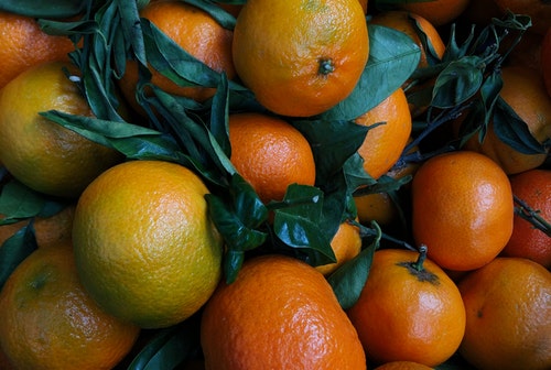 5. 스트레스 감소